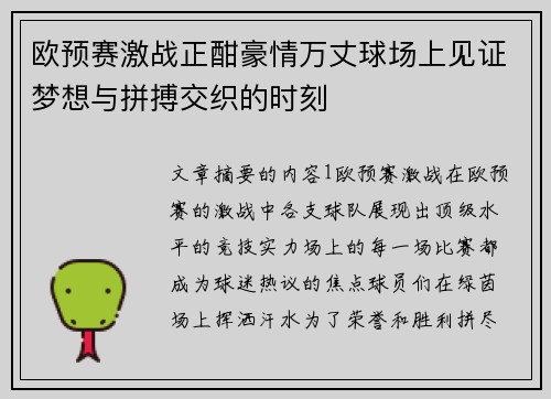 欧预赛激战正酣豪情万丈球场上见证梦想与拼搏交织的时刻