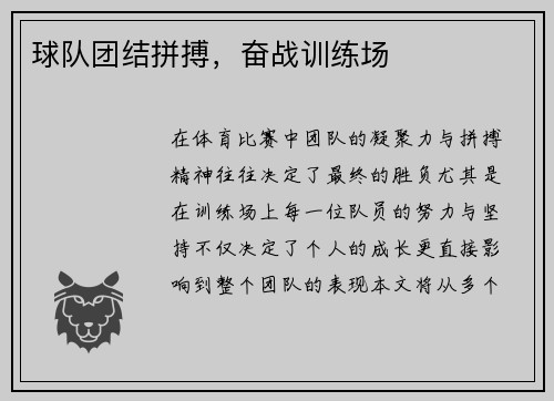 球队团结拼搏，奋战训练场